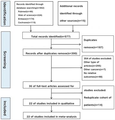 Efficacy and safety of neoadjuvant PD-1 inhibitors or PD-L1 inhibitors for muscle invasive bladder cancer: a systematic review and meta-analysis